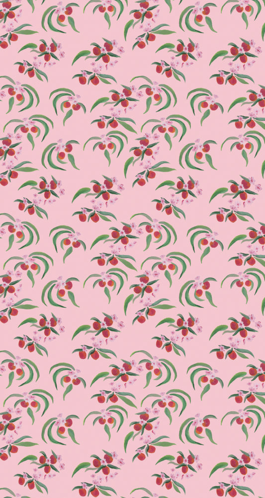 Orange Blossom Peachy Pink Wallpaper