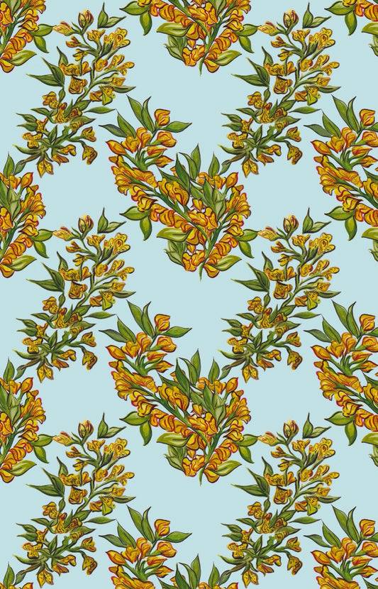 Mimosa Sky Blue Wallpaper